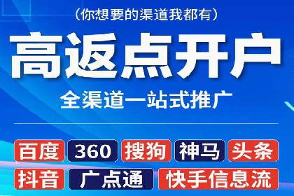 百度广告竞价之成功案例：某行业领军企业的崛起之路
